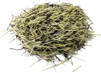 Quills (bulk) Per oz