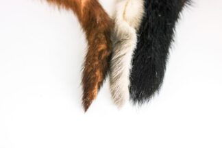 Furs, Hairs and Quills