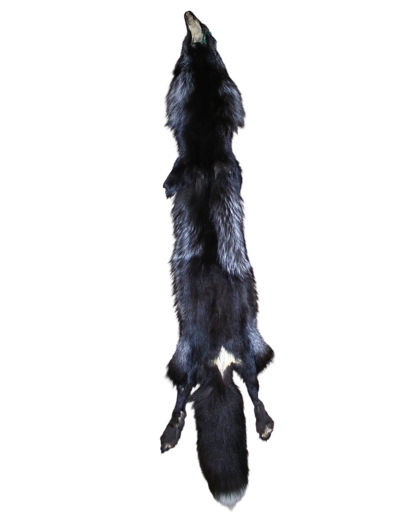 Silver Fox - Full Cased Tanned Hide - Image 2