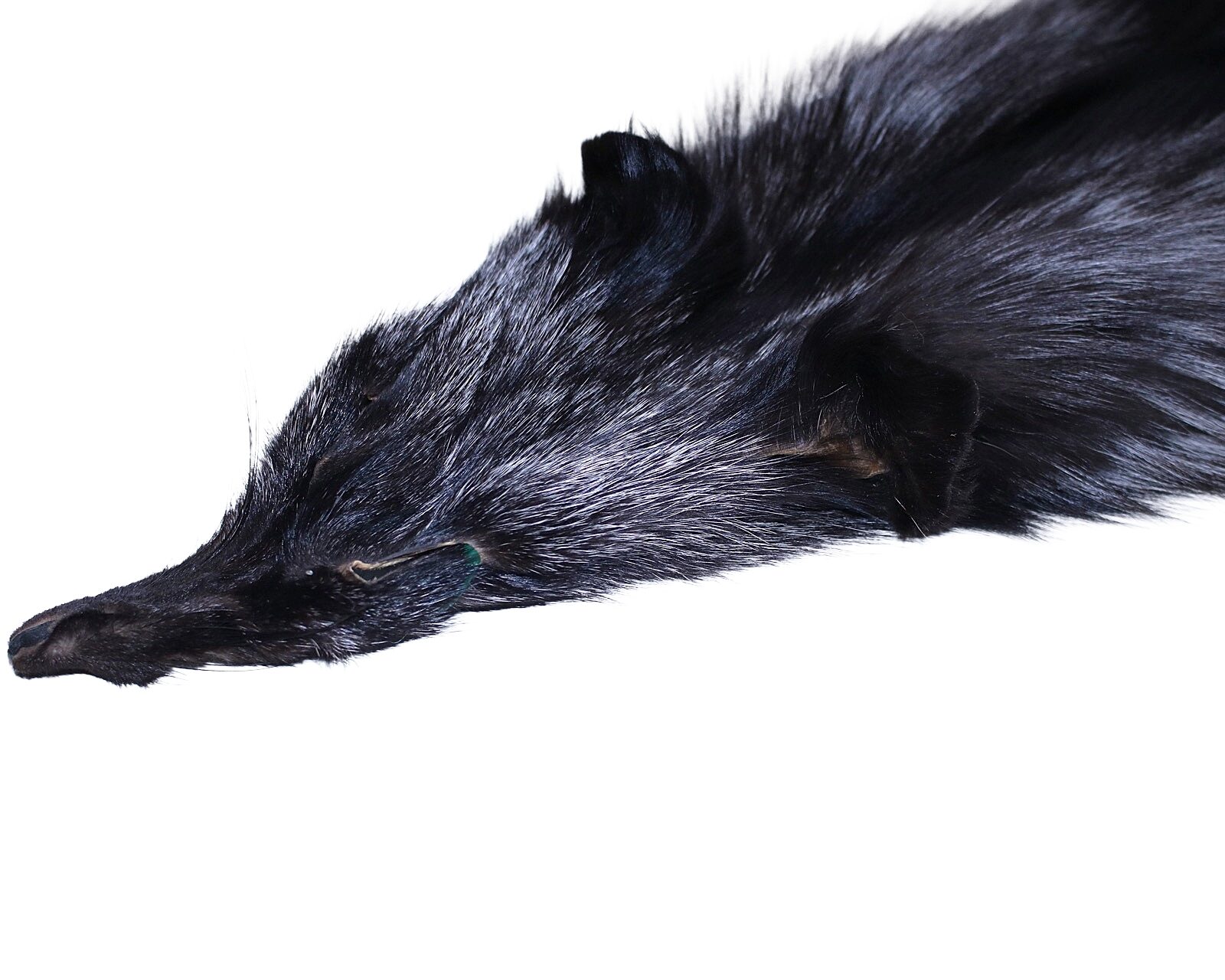 Silver Fox - Full Cased Tanned Hide - Image 3