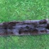 Large Otter Skin without Feet - Image 3