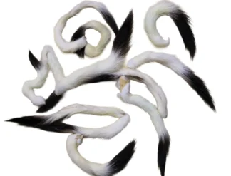Ermine Tails