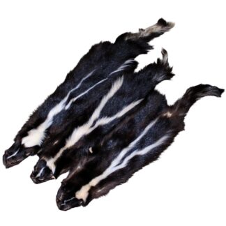 #2 Skunk Skin