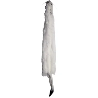 #2 Ermine