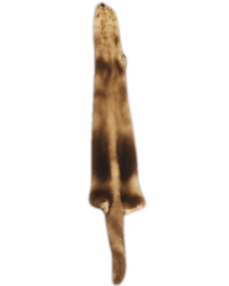 MINK SKIN - Normal Tan Color