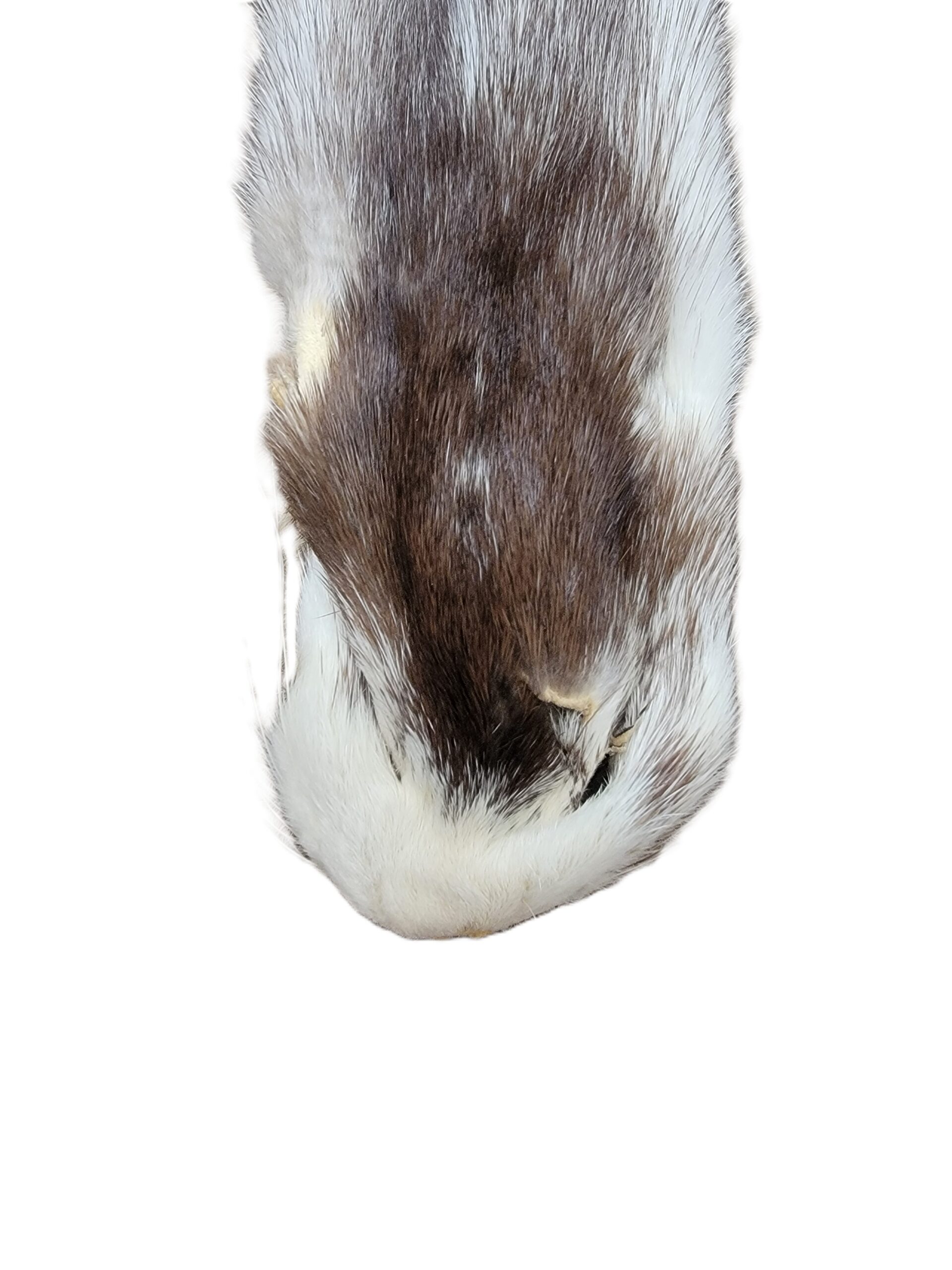 Mink - Black, Black and White, or Tan Color - Image 8