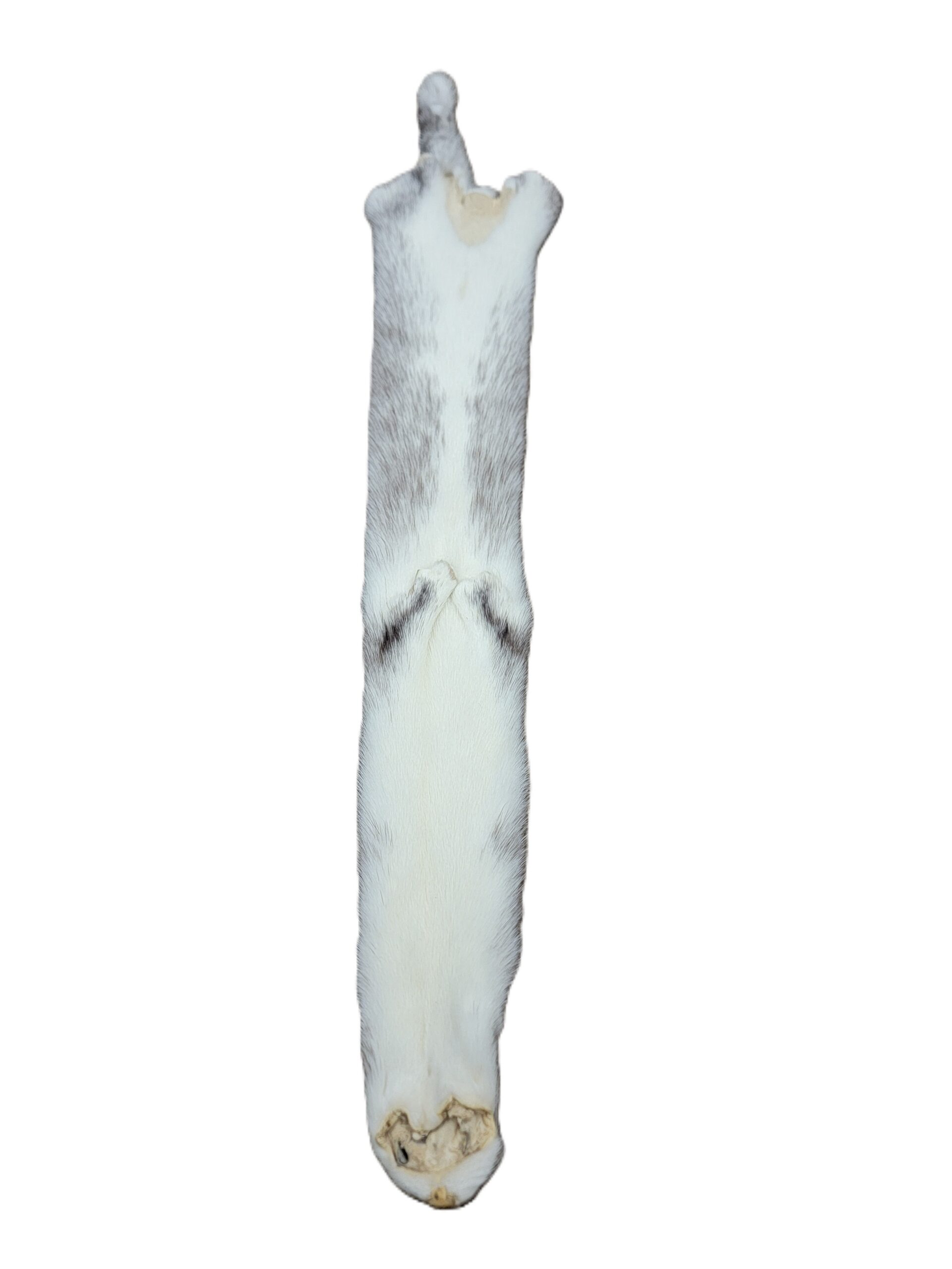 Mink - Black, Black and White, or Tan Color - Image 3