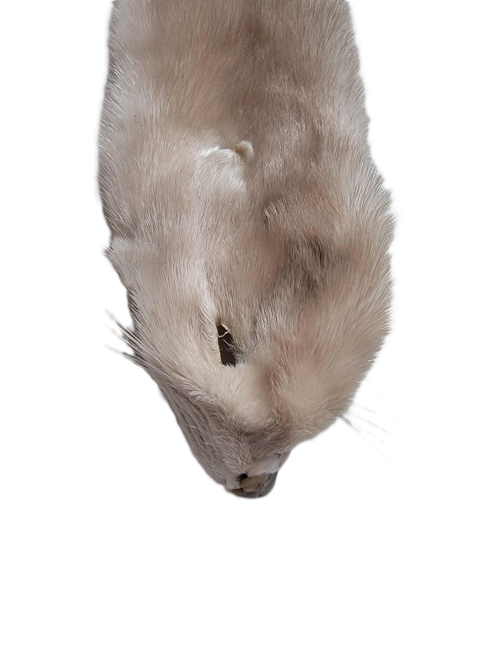 Mink - Black, Black and White, or Tan Color - Image 4