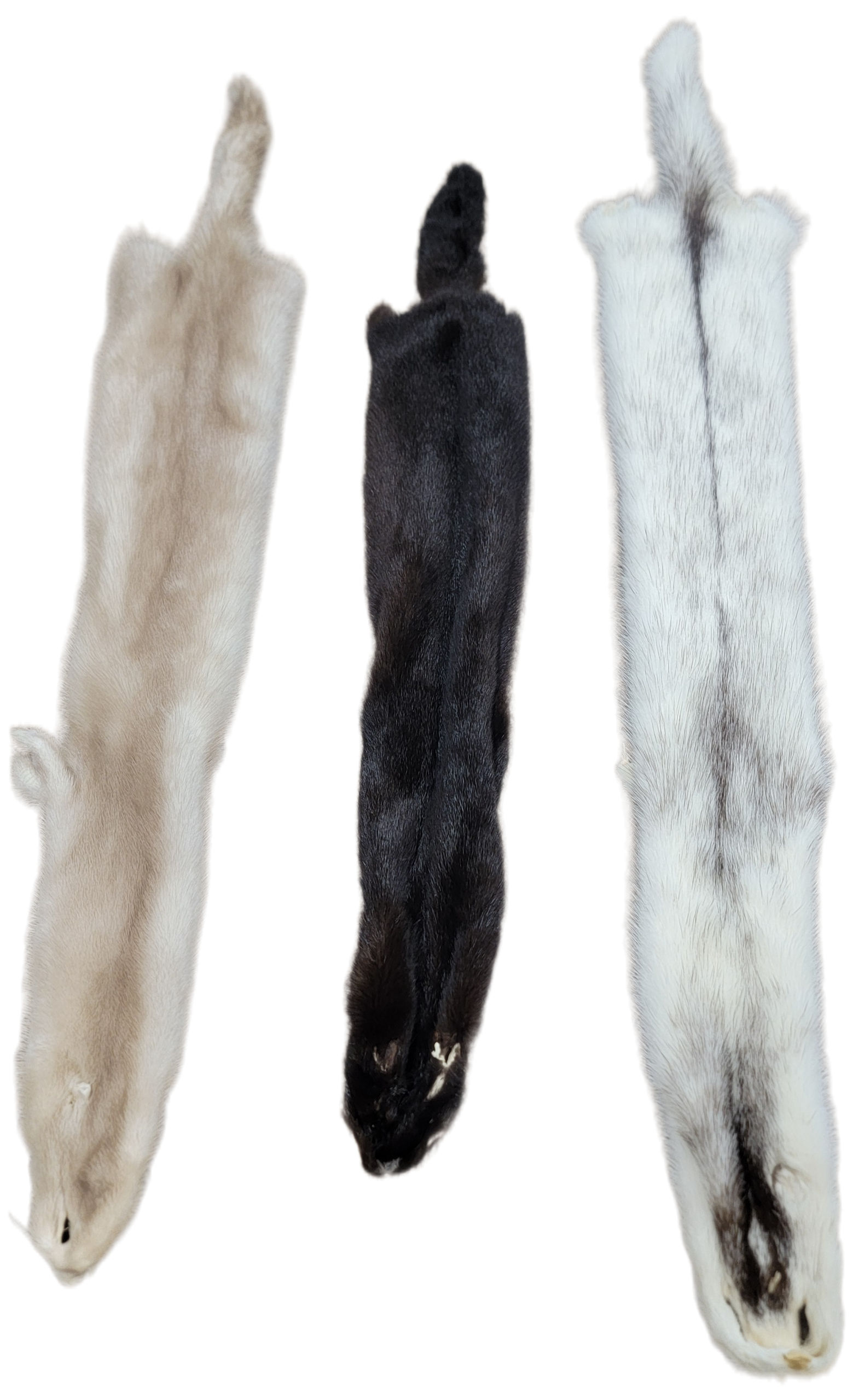 Mink - Black, Black and White, or Tan Color