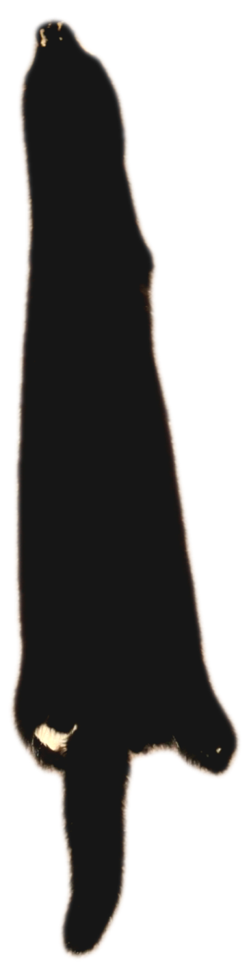 Mink - Black, Black and White, or Tan Color - Image 7