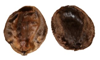Beaver Hair on Hide Winter Fur - Natural or Black, XLG