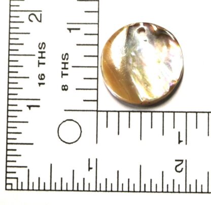 1" Abalone disc 1 Hole