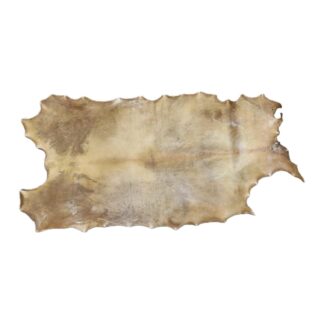 Bleached Bison Rawhide - Pow Wow Drum Thickness