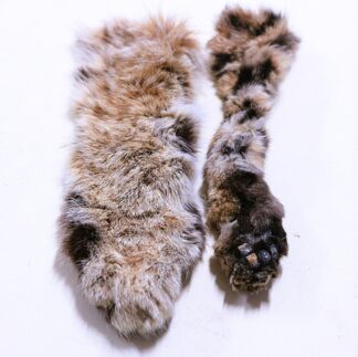 Bobcat Paws with Claws