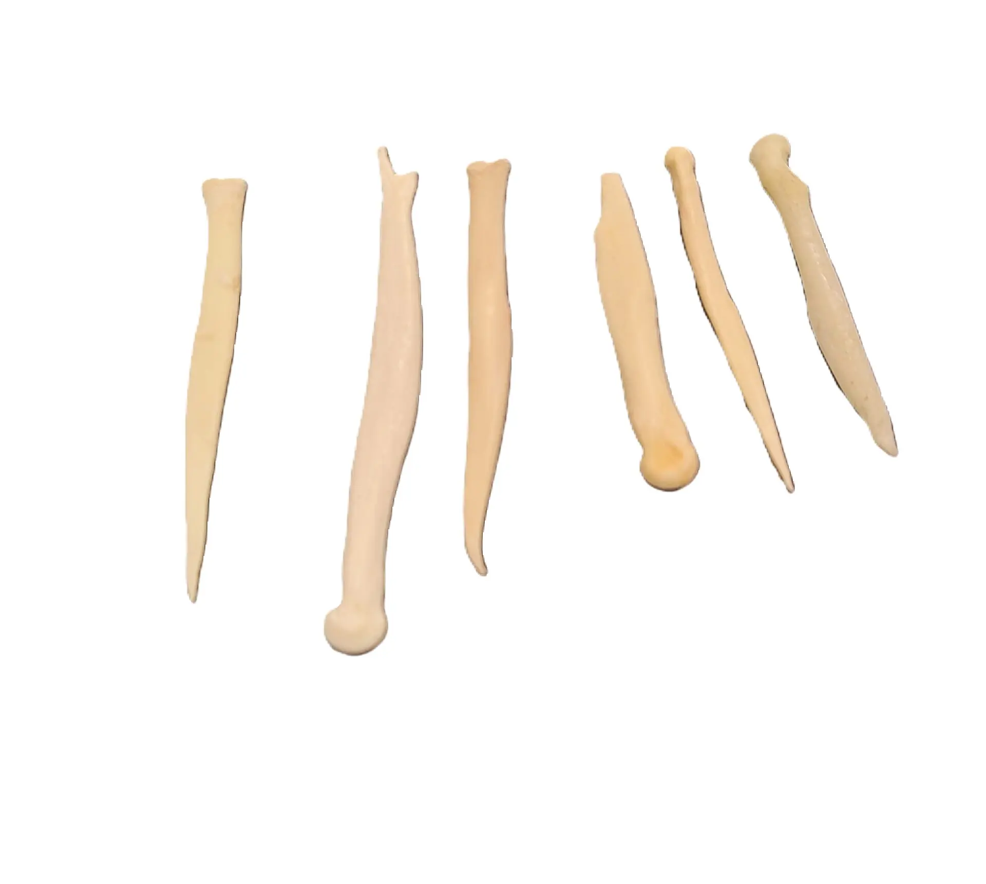Deer Awls