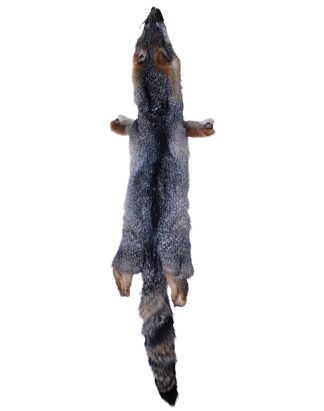 Gray Fox - Tanned Hide
