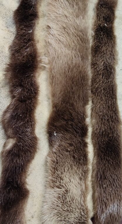 Otter Strips - Centralia Fur & Hide