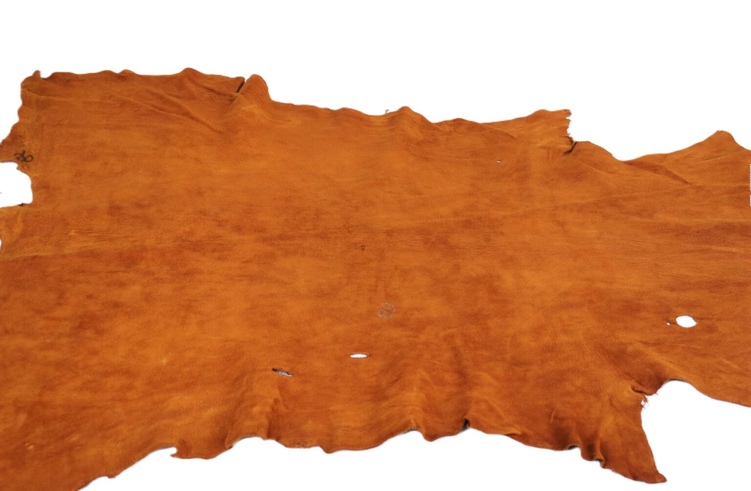 Deer Hide Leather Acorn Centralia Fur & Hide