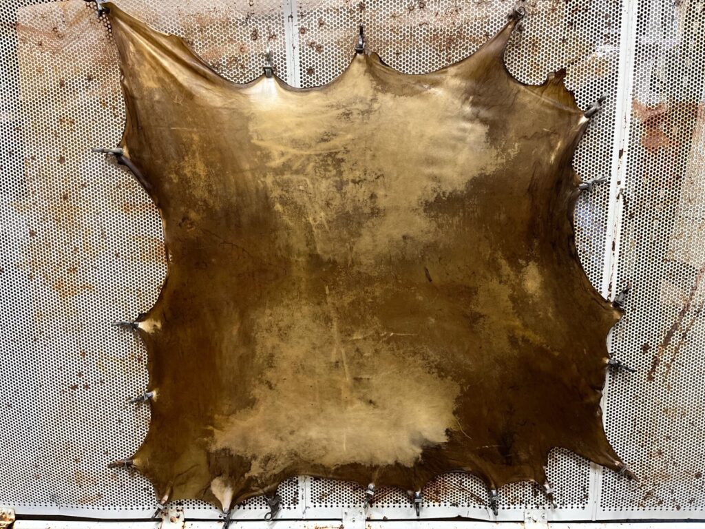 3 Drum Elk Rawhide Natural Centralia Fur & Hide