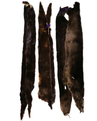 Otter Plates - For Pipe/Flute Bags (Sold as Sets)