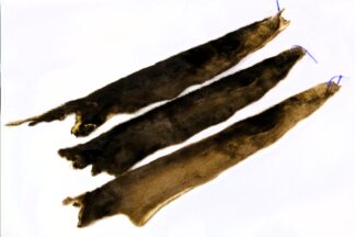 Otter Plates - For Pipe/Flute Bags (Sold as Sets)