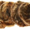 Beaver Skin Hair On - XXL