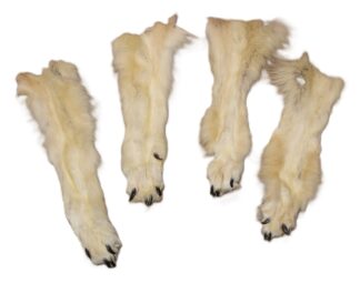 Wolf Paws with Claws