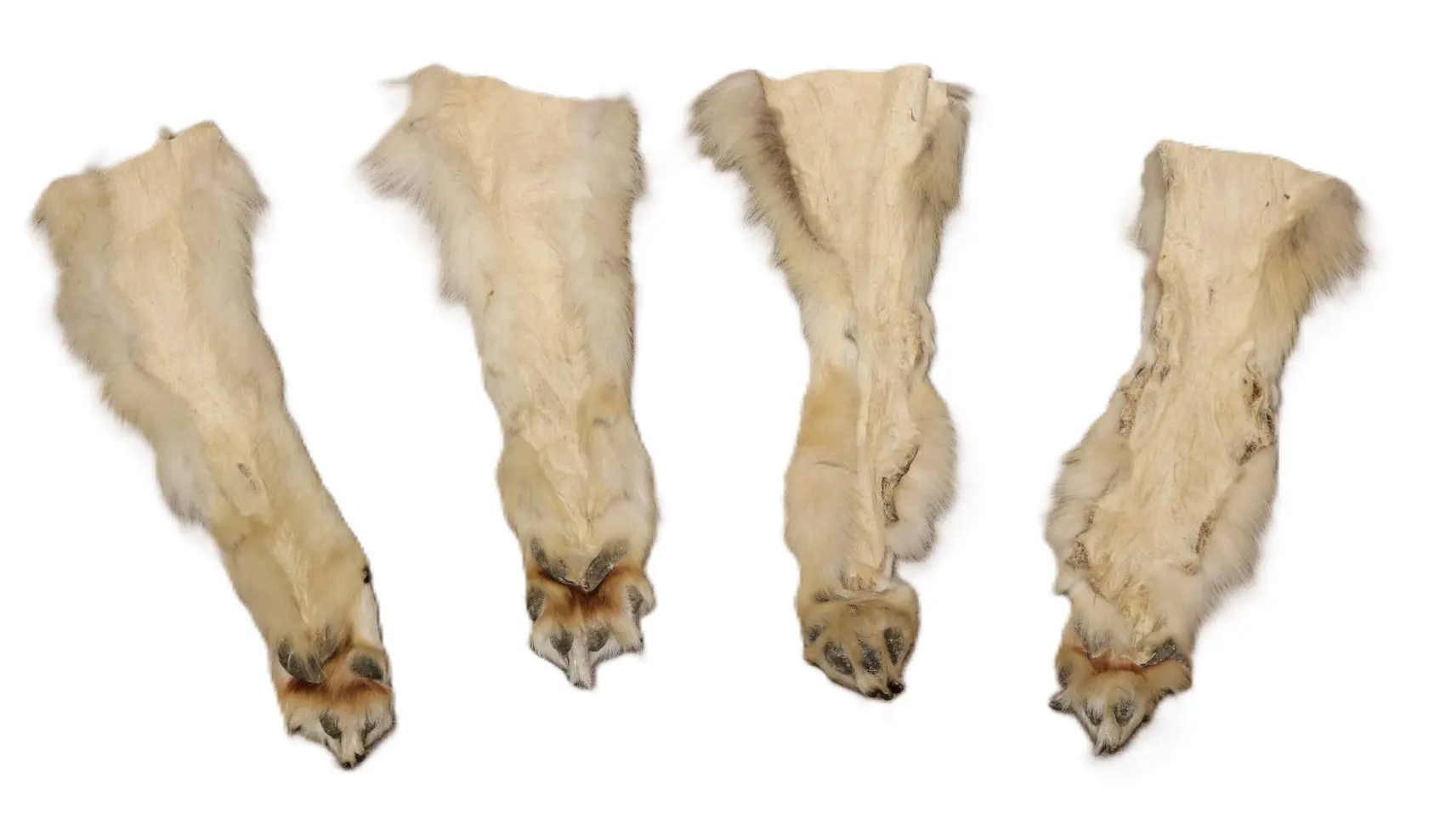 Wolf Paws with Claws - Image 2