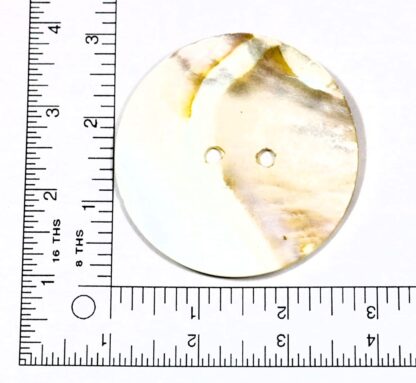 2-1/2" Mother of Pearl with 2 Holes