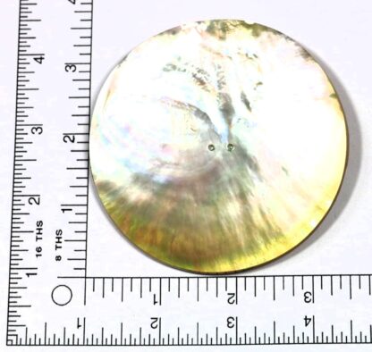 3" Mother of Pearl with 2 Holes