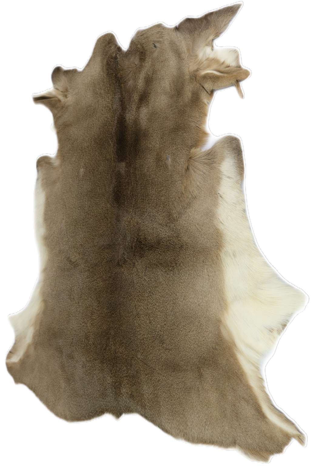 Furs Centralia Fur & Hide