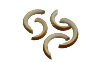 Porcupine Teeth