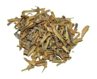 Cramp Bark (Viburnum Opulus)