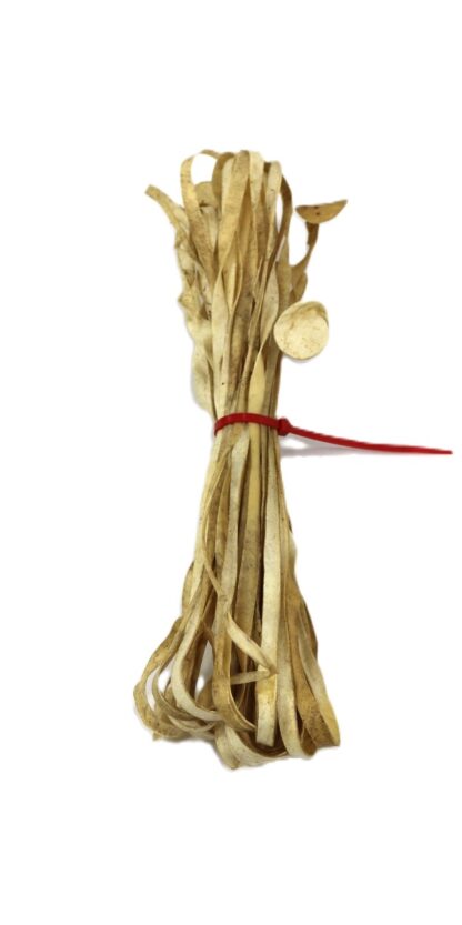 1/4" Goat Rawhide Lace (Red Tie)