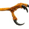 Eagle Foot Talon Claw - Composite