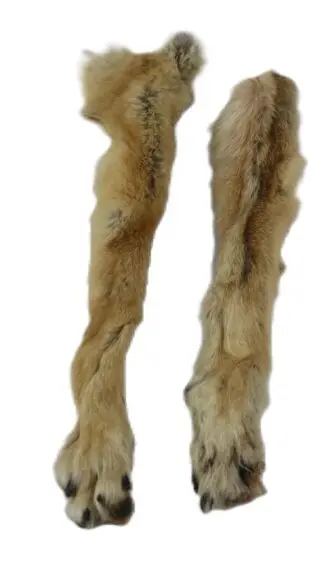 Coyote Paws with Claws