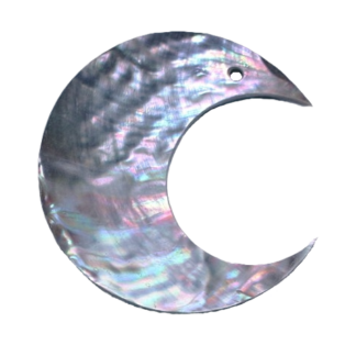 2" Blue Tiger Abalone Moon Shell 1-hole