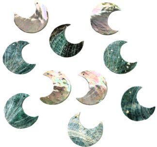 2" Blue Tiger Abalone Moon Shell - 1 hole