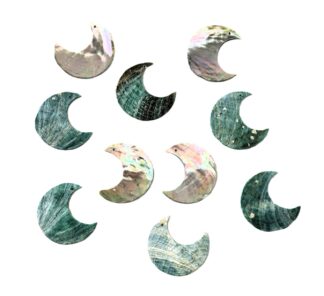 2" Blue Tiger Abalone Moon Shell - 1 hole