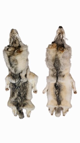 WOLF HAIR ON HIDE XL