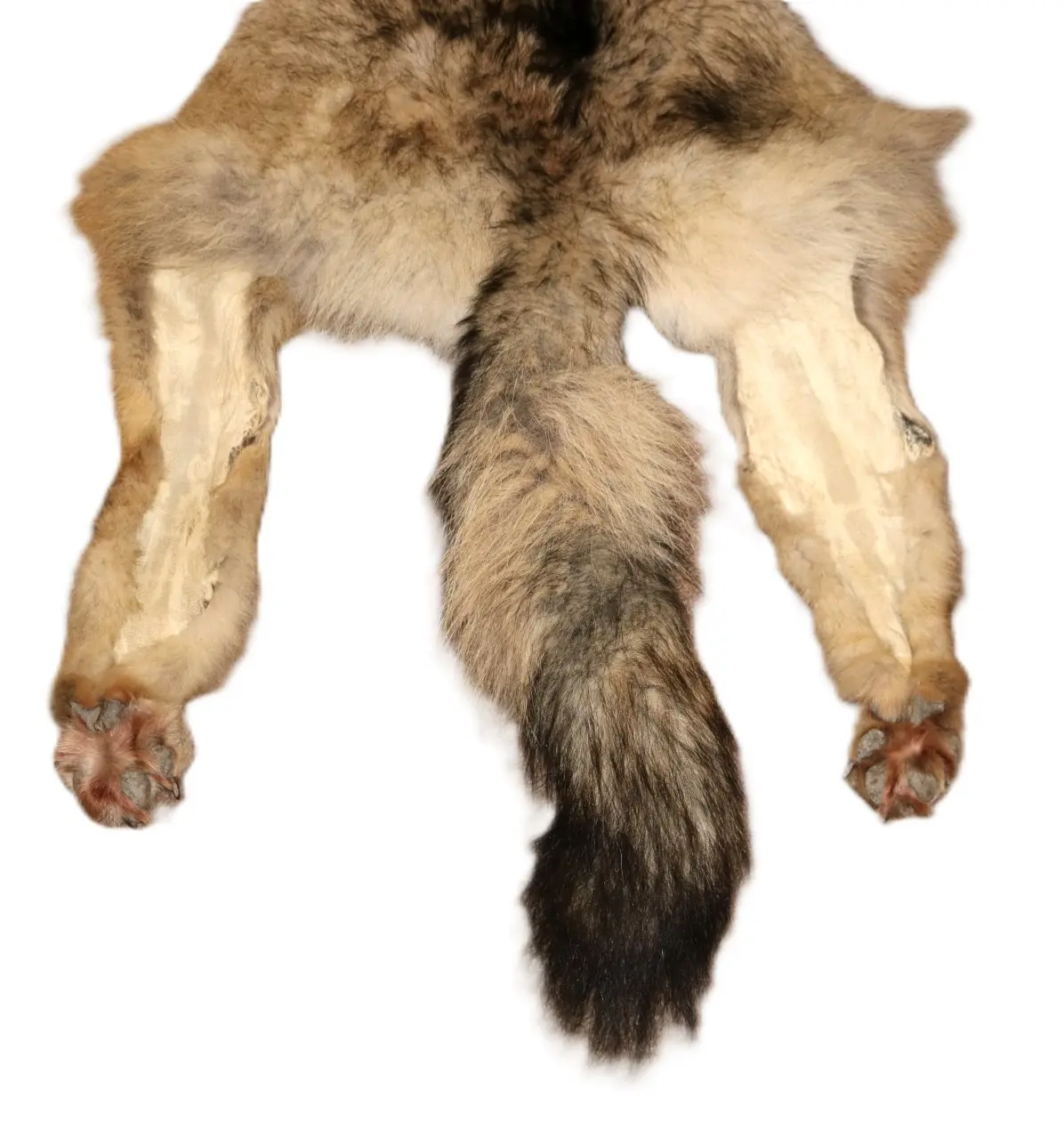 WOLF HAIR ON HIDE XL - Image 14