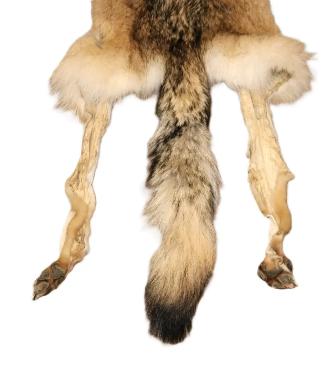 WOLF HAIR ON HIDE XL - Image 10
