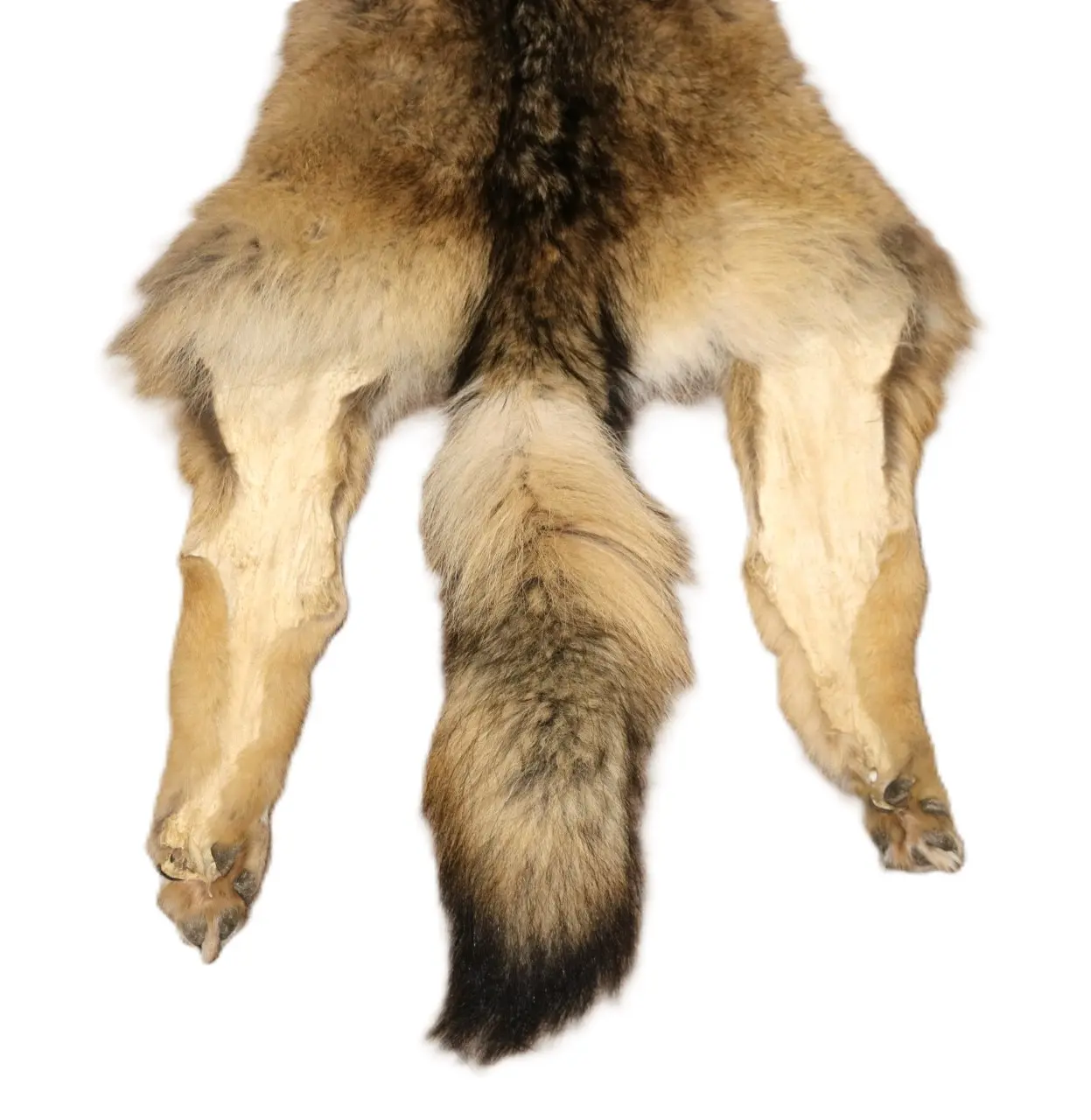 WOLF HAIR ON HIDE XL - Image 6