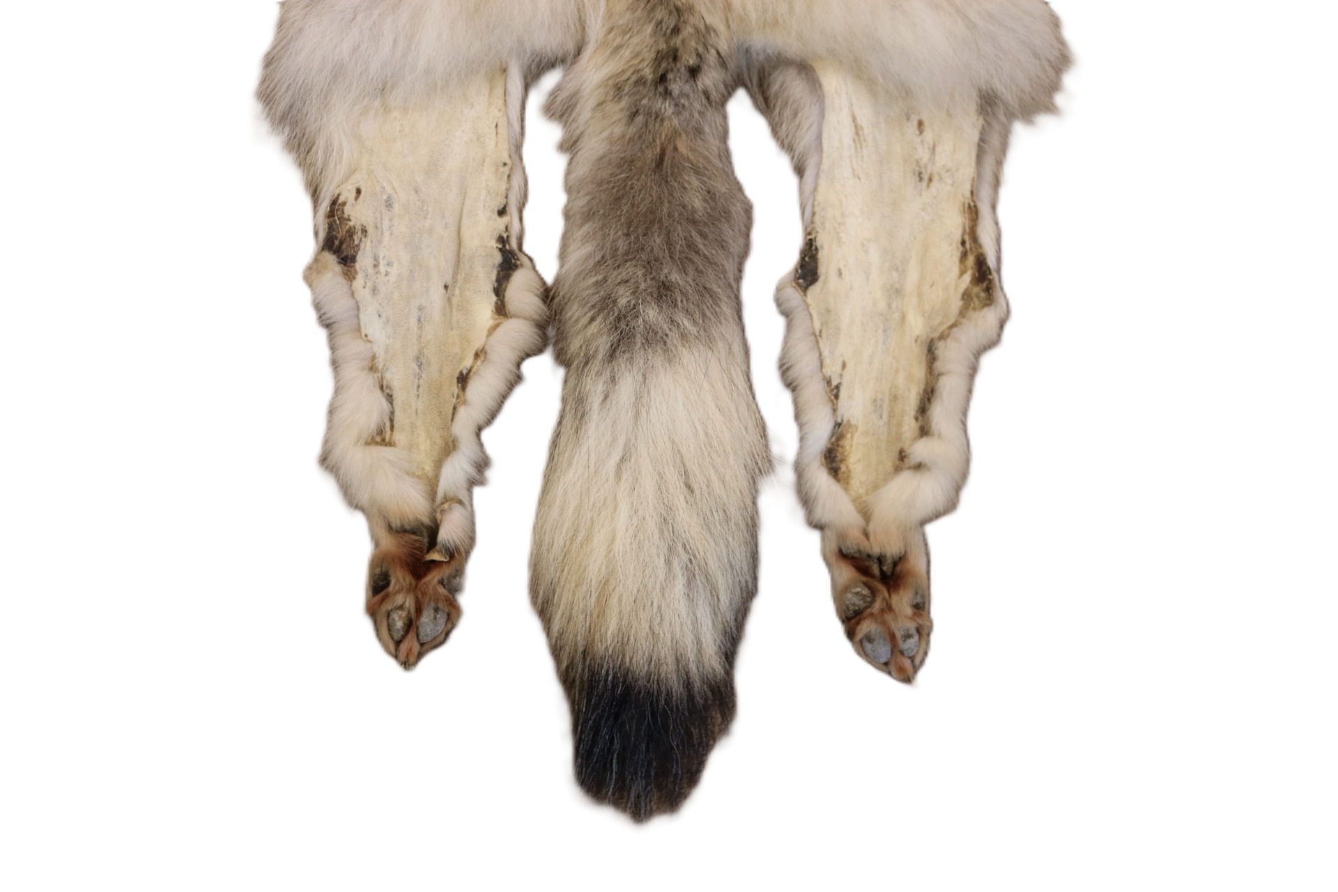 WOLF HAIR ON HIDE XL - Image 13