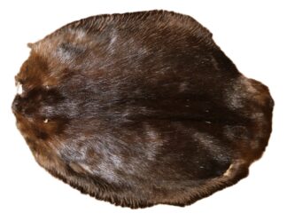 Beaver Skin Hair On - Black, XXL