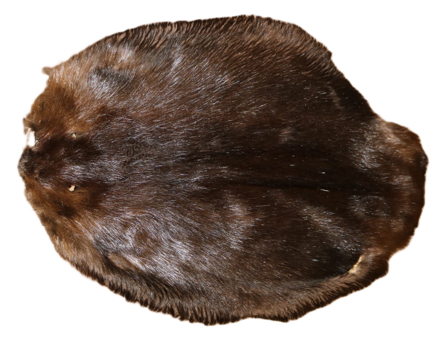 Beaver Skin Hair On - Black, XXL