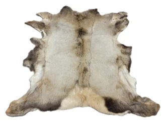 Elk Hide - Hair On