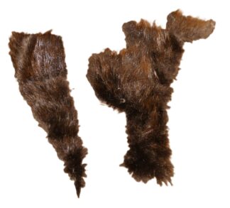 Beaver Pieces