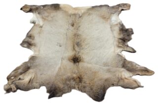 Elk Calf Hair On - *NEW*