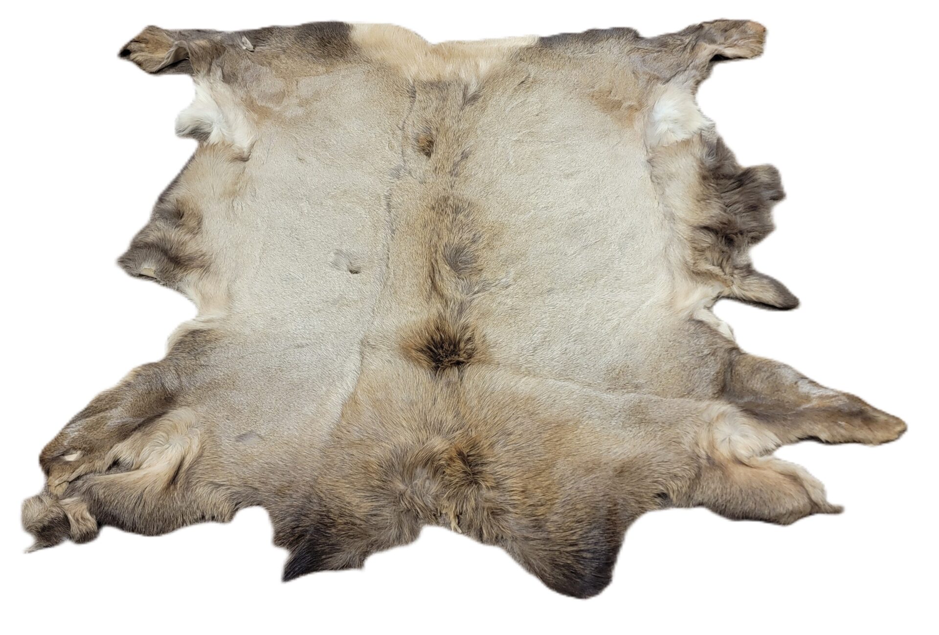 Elk Calf Hair On - *NEW*